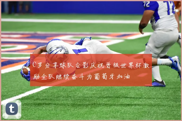 C罗分享球队合影庆祝晋级世界杯激励全队继续奋斗为葡萄牙加油