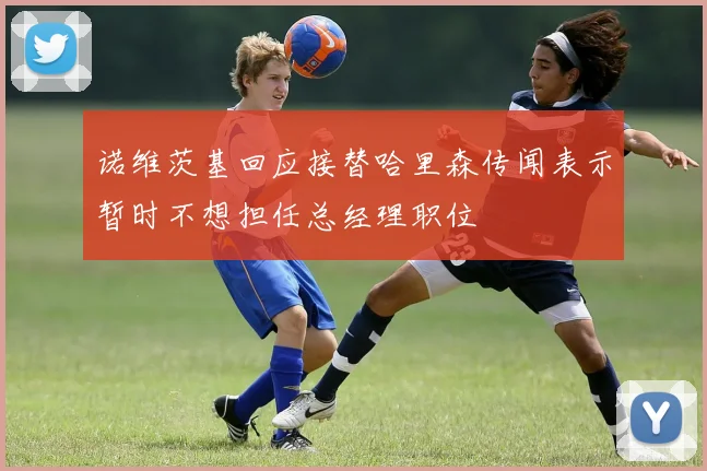 诺维茨基回应接替哈里森传闻表示暂时不想担任总经理职位
