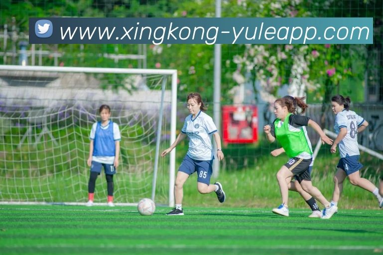 App Interface Preview