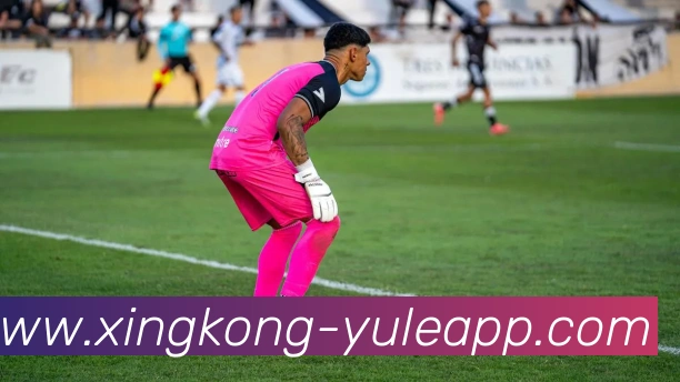 星空娱乐APP 封面图