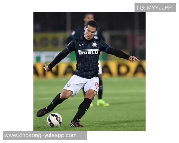 埃尔纳内斯:国米展现意大利足球之巅的实力与风采 埃尔纳内斯:国米展现意大利足球之巅的实力与风采